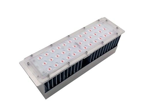SMD3030 0.75A ফুল স্পেকট্রাম প্ল্যান্ট গ্রো লাইট, 277Vac SMD LED Grow Lights
