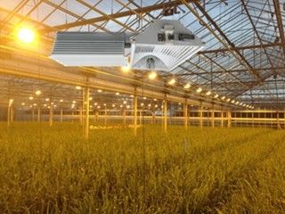 155lm/w 160000lm ইন্ডোর গ্রো লাইট, 1000W HPS লাইট গ্রো