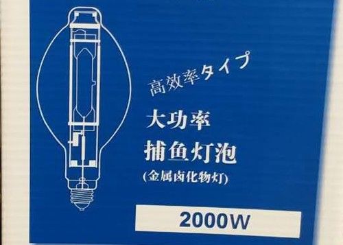 BT220 2000w MH বাল্ব ফিশ ল্যাম্প HID মেটাল হ্যালাইড স্কুইড ফিশিং ল্যাম্প