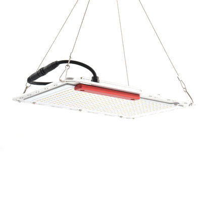 60Hz 100W নেতৃত্বে উদ্ভিদ বৃদ্ধি লাইট, কোয়ান্টাম বোর্ড এসএমডি 577 ইনডোর গ্রো লাইট