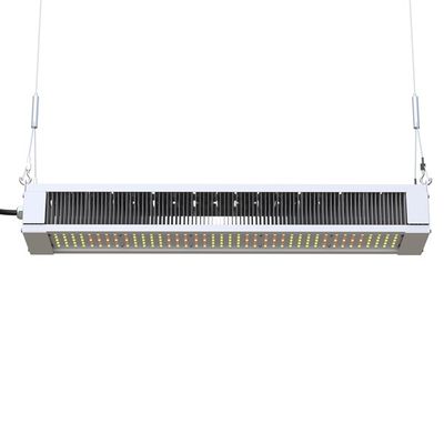 RikoLite 240W ফুল স্পেকট্রাম LED Grow Light Slim Bar, AL1100 Horticulture LED Grow Lights