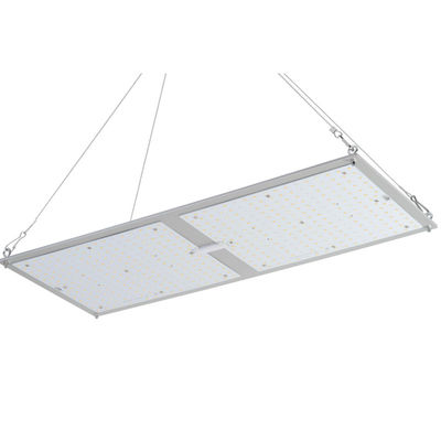 Rikolite 200w ঔষধি উদ্ভিদ অন্দর চাষ কোয়ান্টাম বোর্ড হাইড্রোপনিক ক্রমবর্ধমান সিস্টেম