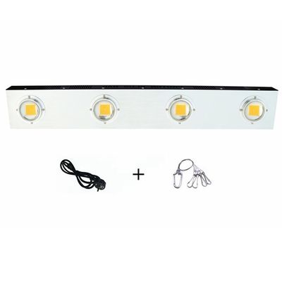 RikoLite 0.2KW উদ্ভিদ নেতৃত্বে বৃদ্ধি 200w ইন্ডোর গাঁজা UV অতিবেগুনী