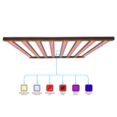 6x6 কভারেজের জন্য ইন্ডোর প্ল্যান্টস 960w 1000w LED Grow Lights