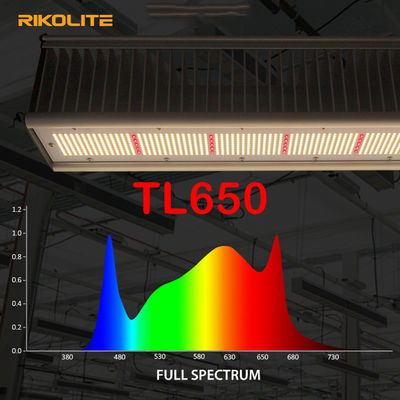 TL650 PAR 1755umol / S Greenhouse LED Grow Lights 630W Veg / Flower এর জন্য