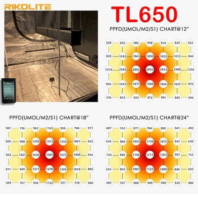 TL650 PAR 1755umol / S Greenhouse LED Grow Lights 630W Veg / Flower এর জন্য