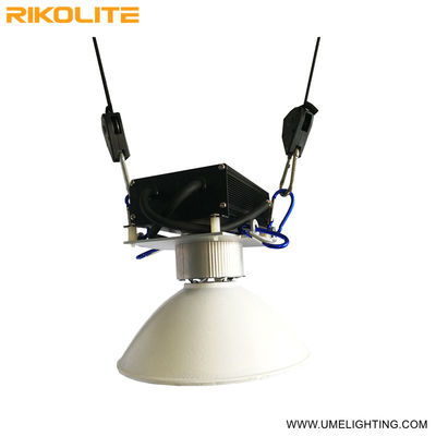 G12 Cmh 150w Led Plant Growing Lights Seedling Seedling Vegging High Yeld Lighting