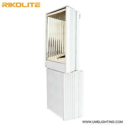 500W 900umol/s 265VAC CMH 3000K বাল্ব সহ 208-277V আলো বাড়ান