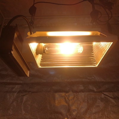 এয়ার PAR প্লাস CMH 150W Horizontal Grow Light Fixture for 2X2 Grow Tent