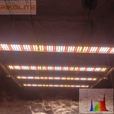 Galaxy 2835SMD LED 240W 4 বার ফোল্ডেবল প্ল্যান্ট গ্রো লাইটস 0 - 10V ডিমেবল
