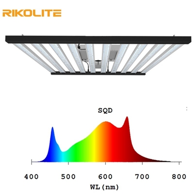 1000W ফুল স্পেকট্রাম কৃষি LED গ্রো লাইট 2000umol/s