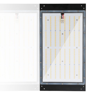 120w হাইড্রোপনিক্স এলইডি গ্রো লাইট 3500k ডিমেবল আইপি65 রেটেড ওয়াটারপ্রুফ