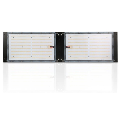 জলরোধী IP65 LED হার্ব গ্রো লাইট 240W SAMSUNG কোয়ান্টাম বোর্ড কৃষির জন্য