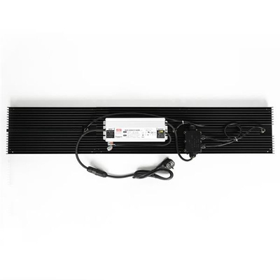 হাইড্রোপনিক্স কোয়ান্টাম এলইডি গ্রো লাইট IP65 320w ফুল স্পেকট্রাম সবজির জন্য