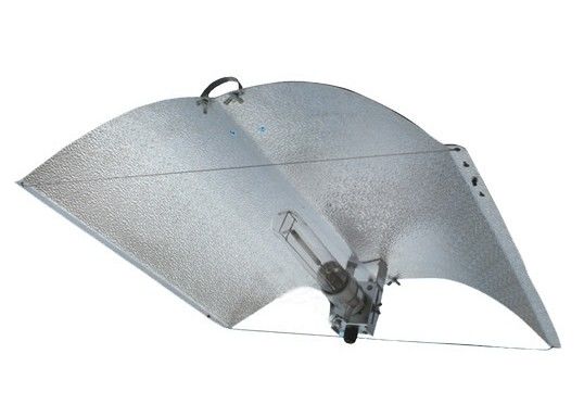 প্রশস্ত কভারেজ বিকল্প Size