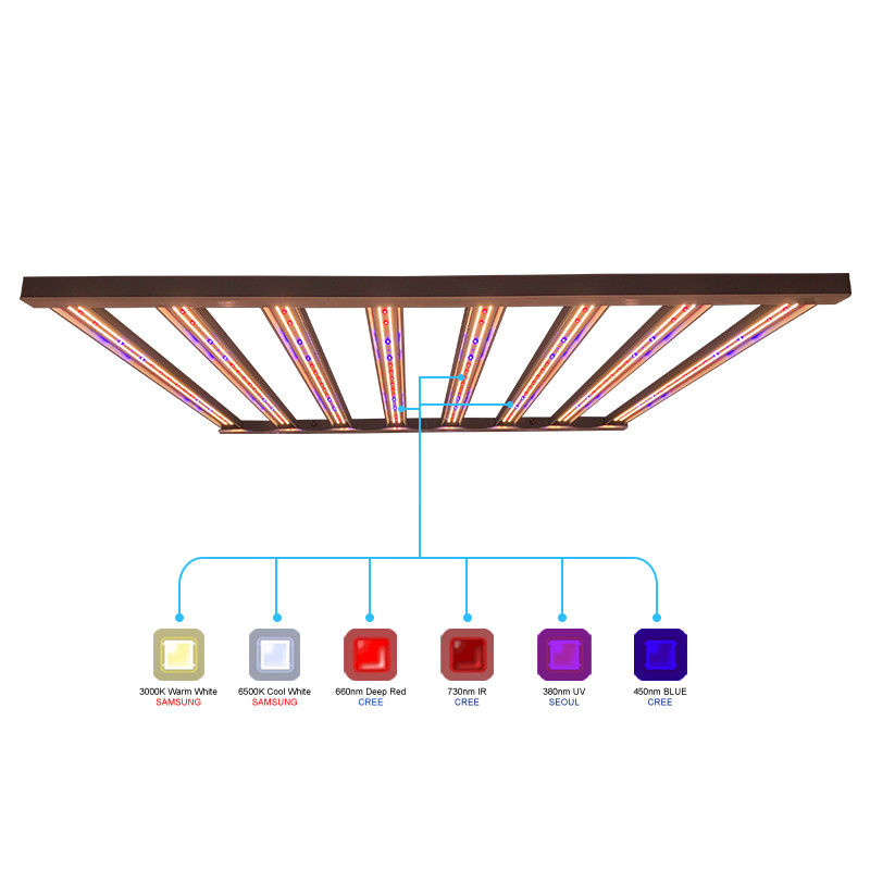 960w 1000w ইন্ডোর প্ল্যান্টস 6x6 কভারেজের জন্য Led Grow Lights Samsung LM301B